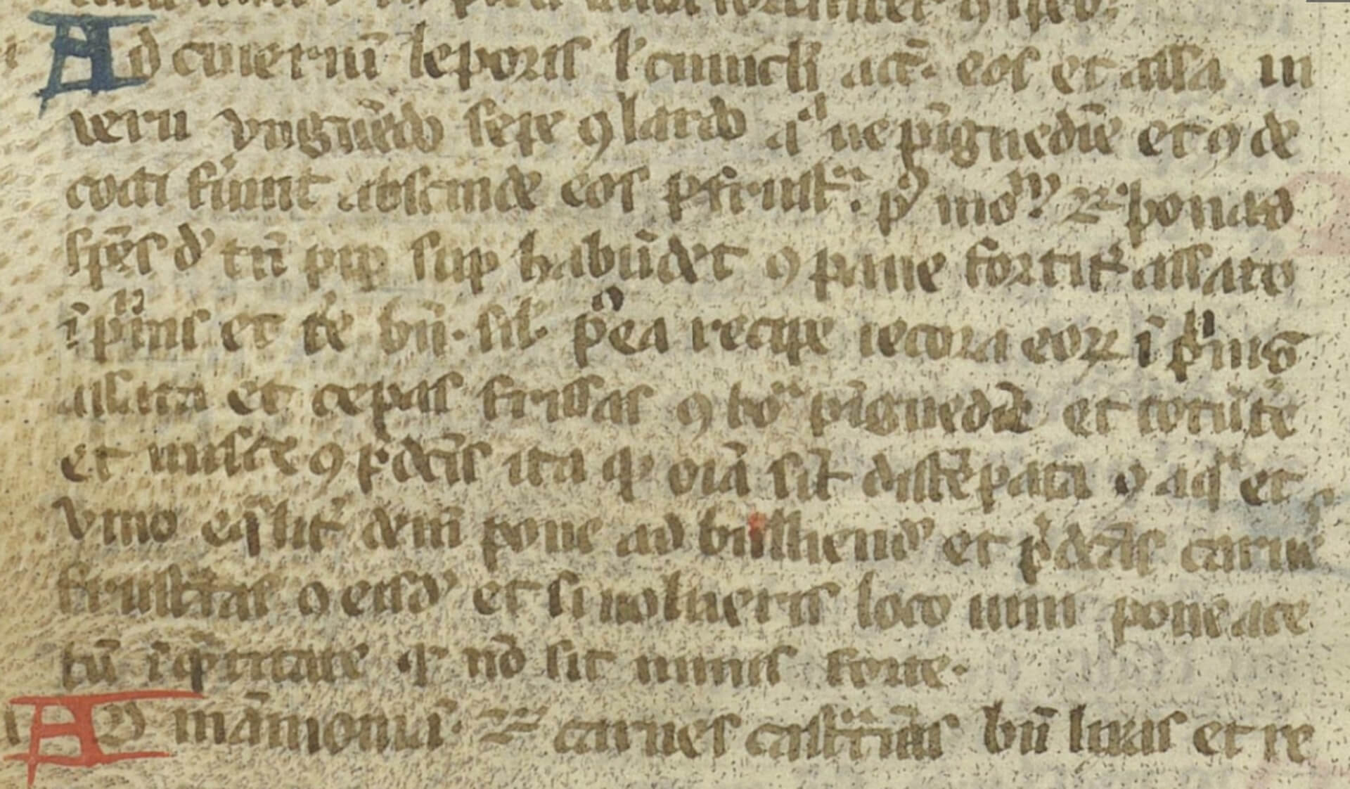 Liber_de_coquina_BNF_Latin_7131_f_97bis_v_Ad_civerium_leporis,_ad_mammoniam_pars_1