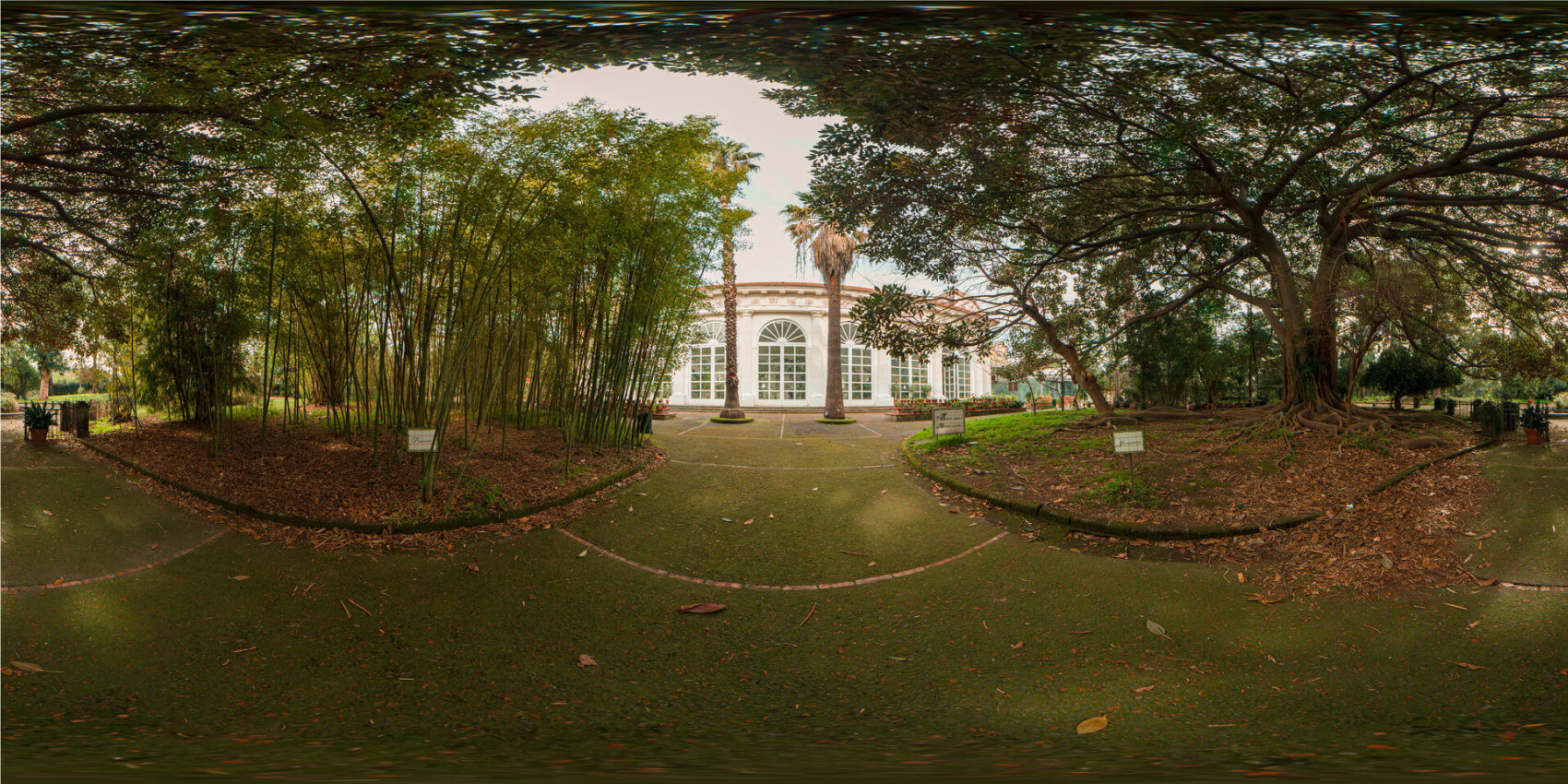 aOrto Botanico – 01- mm