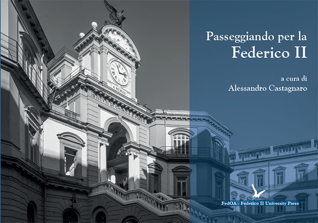 Cover libro Castagnaro