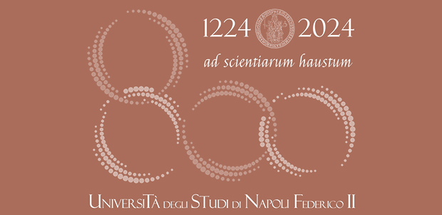 UNINA 800 LOGO UFFICIALE